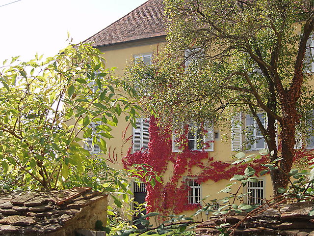 Herbstspaziergang