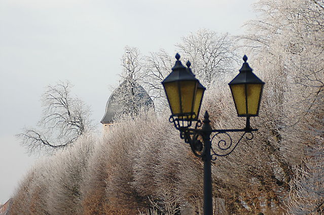Hofgarten im Winterlicht