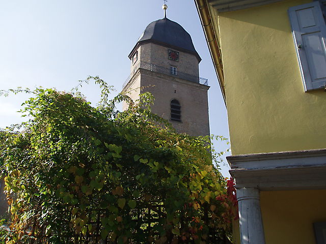 Herbstspaziergang