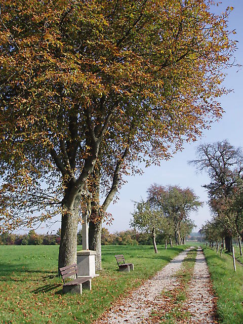Herbstspaziergang