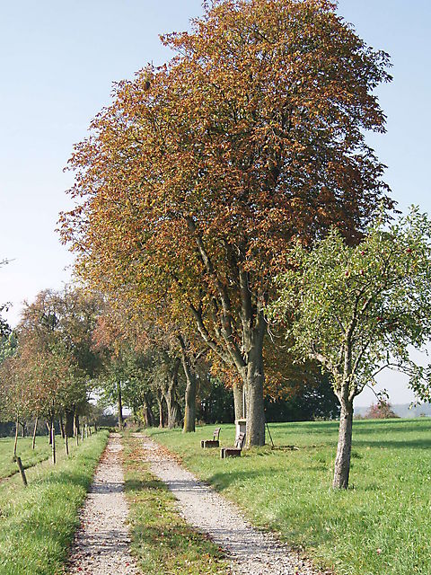 Herbstspaziergang