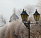 Hofgarten im Winterlicht