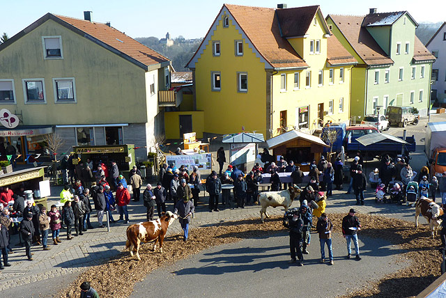 Stadtfeiertag/Februarmarkt mit Mittelaltermarkt in Kirchberg an der Jagst - Jungviehprämierung