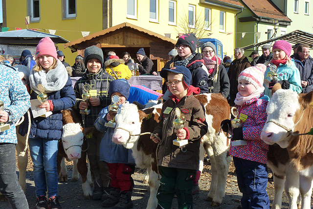 Stadtfeiertag/Februarmarkt mit Mittelaltermarkt in Kirchberg an der Jagst - Vorführung Jungzüchter