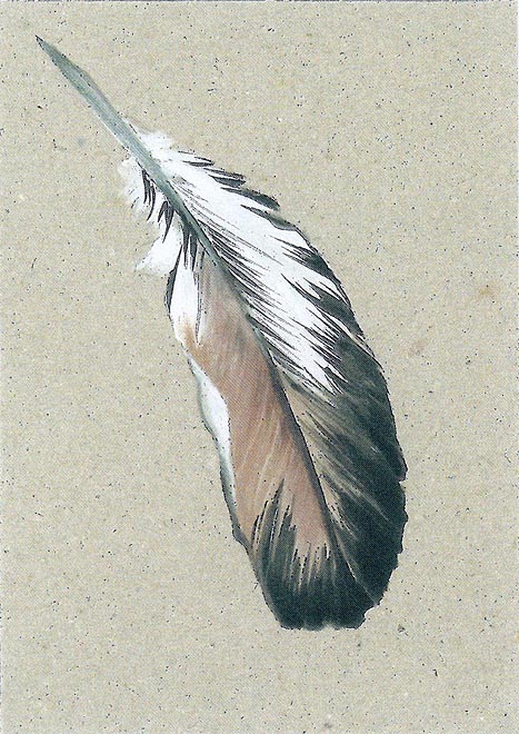AUSSTELLUNG IN DER ALTEN APOTHEKE BARTENSTEIN - GEMÄLDE VON ANDREA MACI