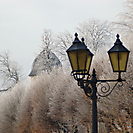 Hofgarten im Winterlicht