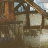 Brand der fürstlichen Domäne 1998