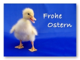 Osterkarten