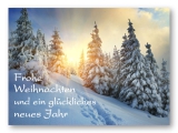 Weihnachtskarten / Neujahrswünsche